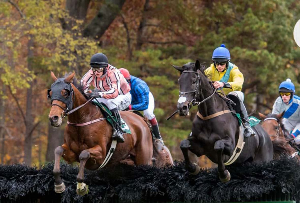 The Montpelier Hunt Races Wine And Country Life