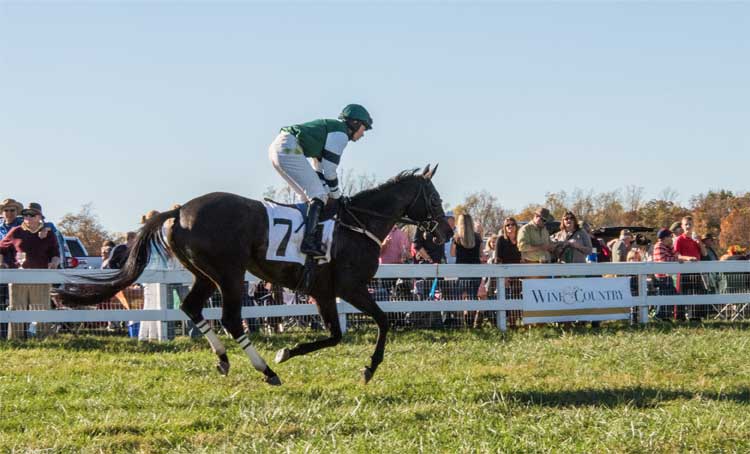 Jockey racing in green silks on a brown horse as guests cheer from the rails at a Virginia steeplechase. Autumn. by Virginia Wine & Country Life.