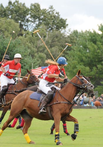 Polo at King Family Vineyard