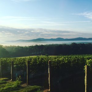veritas vineyards and winery