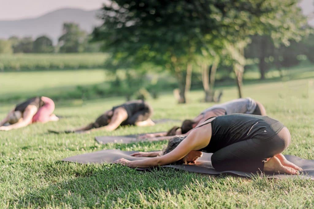 vineyard winery yoga veritas charlottesville virginia vineyard