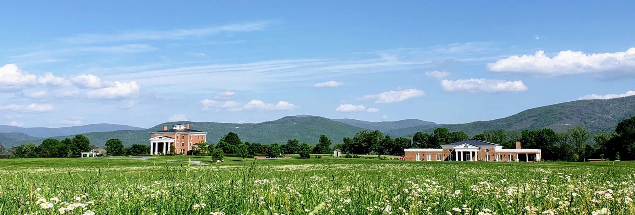 Top Wineries in the Shenandoah Valley - Wine and Country Life