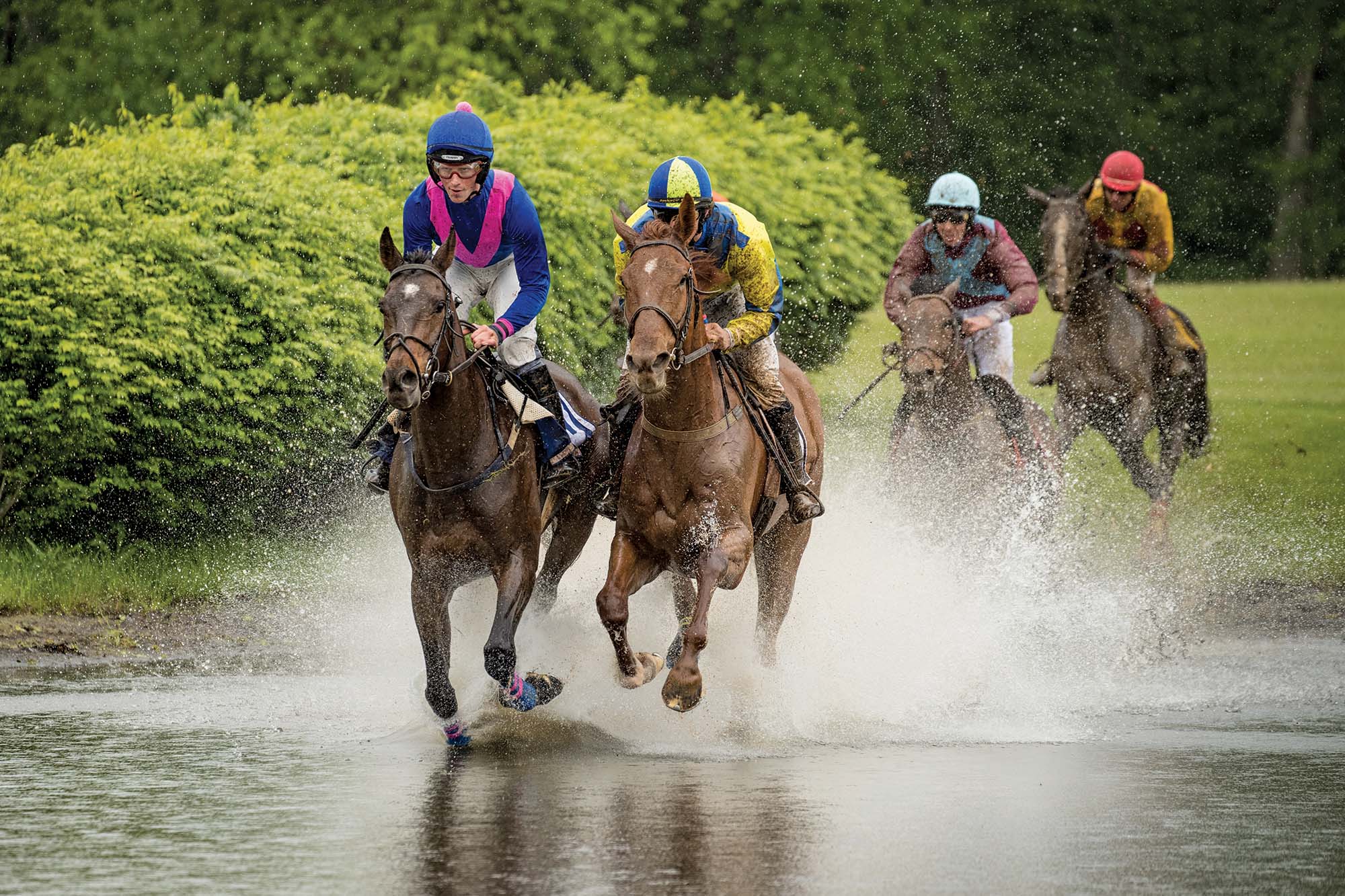 Virginia Gold Cup, Image: © Anthony Gibson