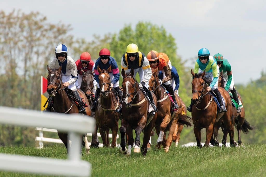 Virginia Gold Cup, Image: © Anthony Gibson
