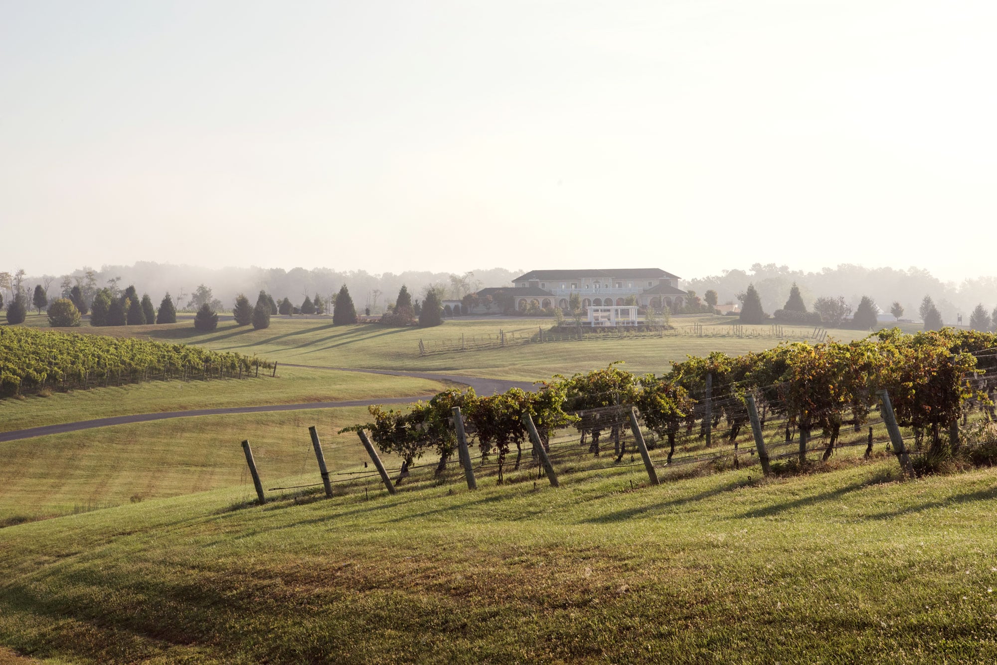 Virginia Wineries to Visit This Fall - Wine and Country Life