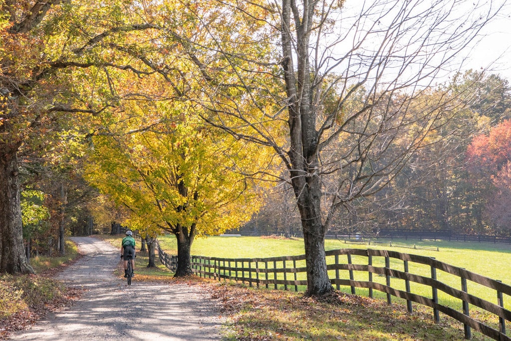 Biker on a country road