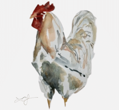 Chicken drawing
