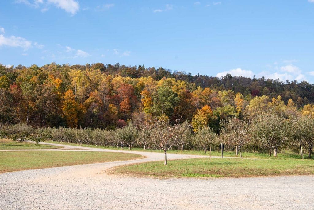 Albemarle Ciderworks