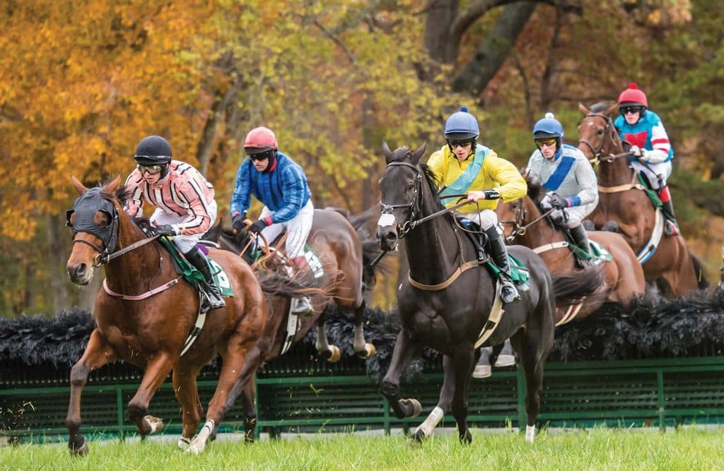 Montpelier Hunt Races