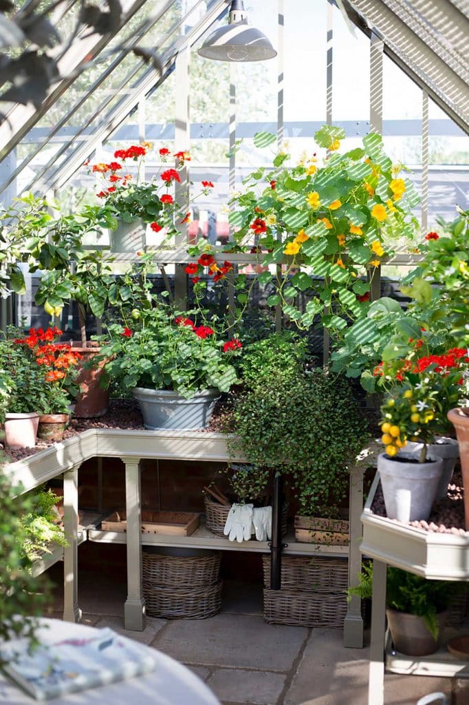 9 best greenhouse ideas to extend your grow season