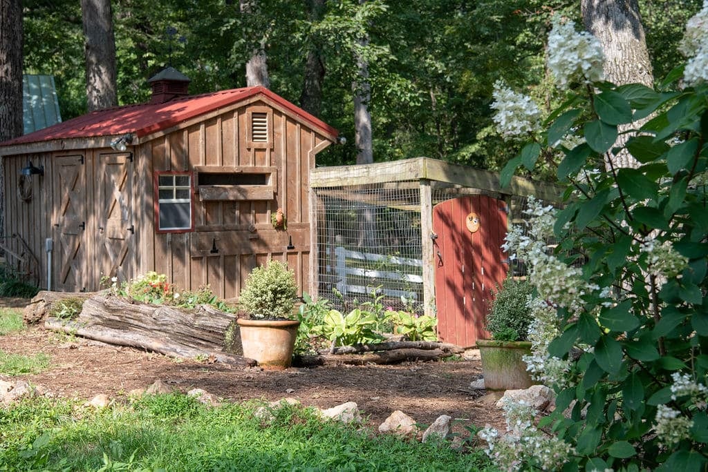 Egg Run, Egg Storage for Backyard Chickens