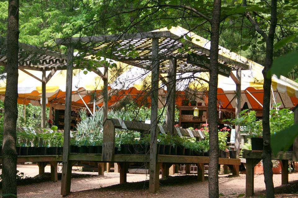 Monticello Plant Sale