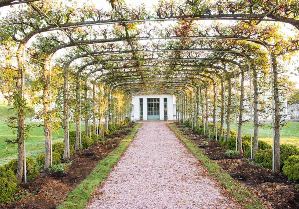 Discover Bunny Mellon's Gardens - Wine and Country Life