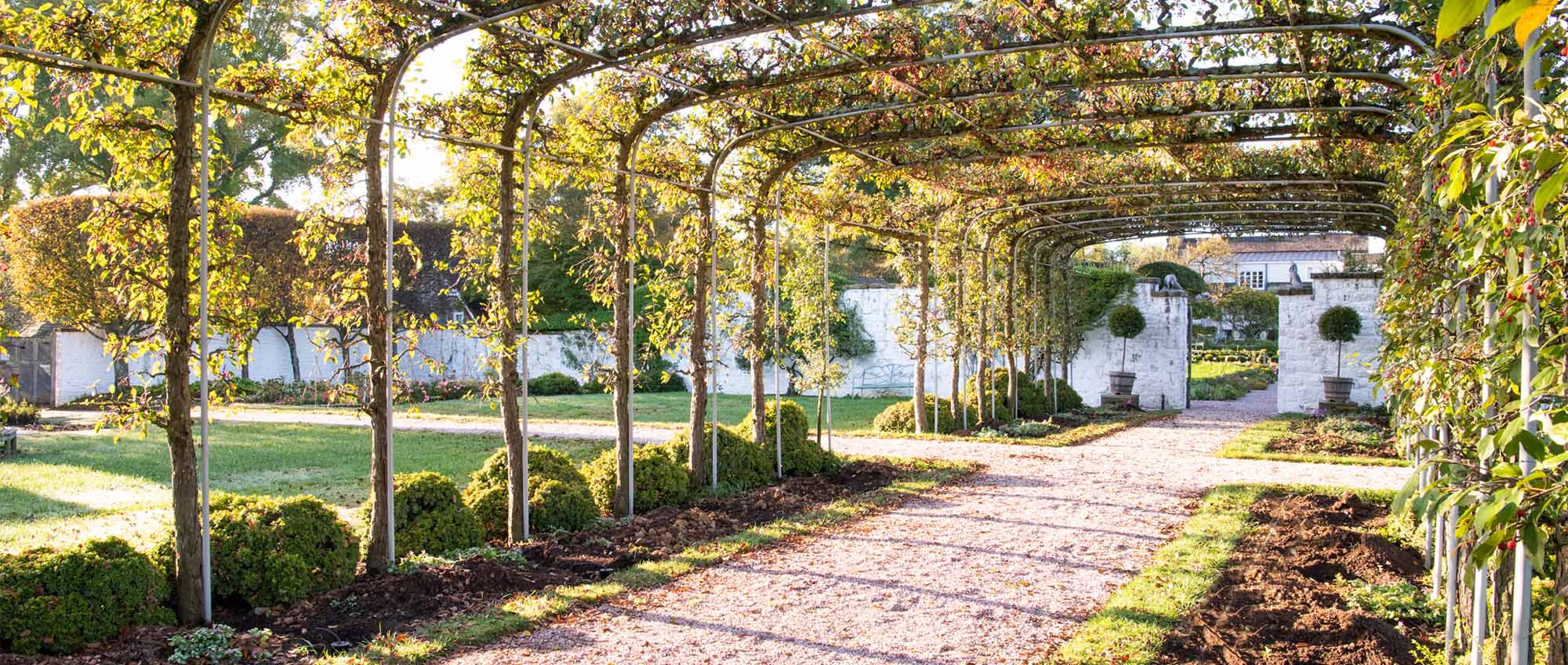 The Allée, Greenhouse & Topiaries at Oak Spring Farm - Wine and Country Life