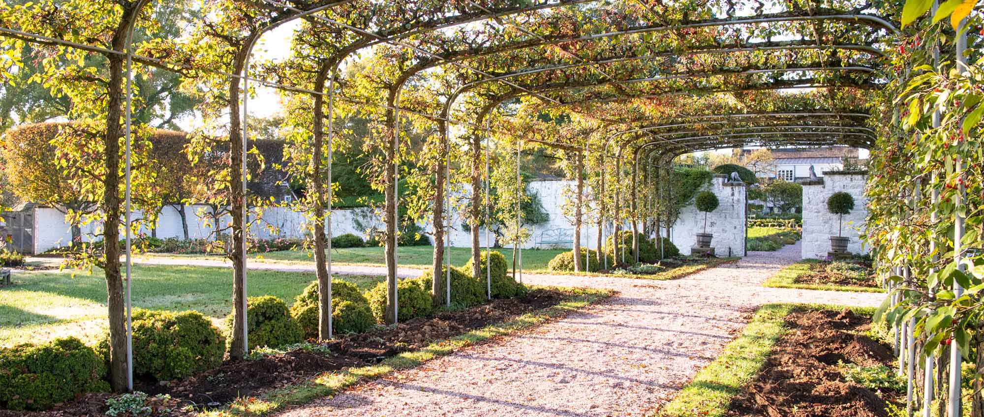 The Allée, Greenhouse & Topiaries at Oak Spring Farm - Wine and Country ...