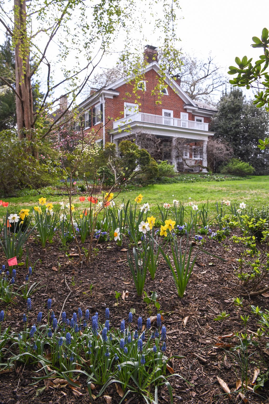 Albemarle Garden Week Tour Highlight Wine and Country Life