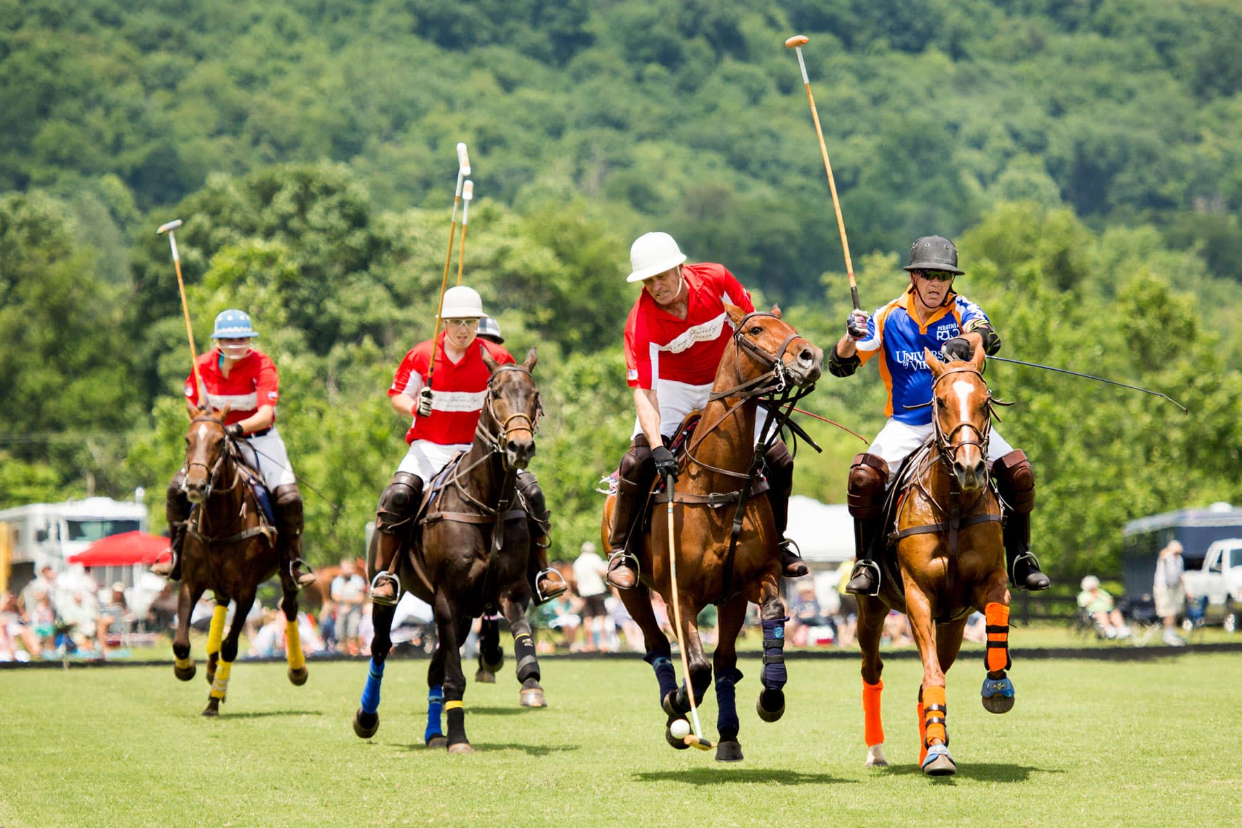 Polo match at King Family Vineyards