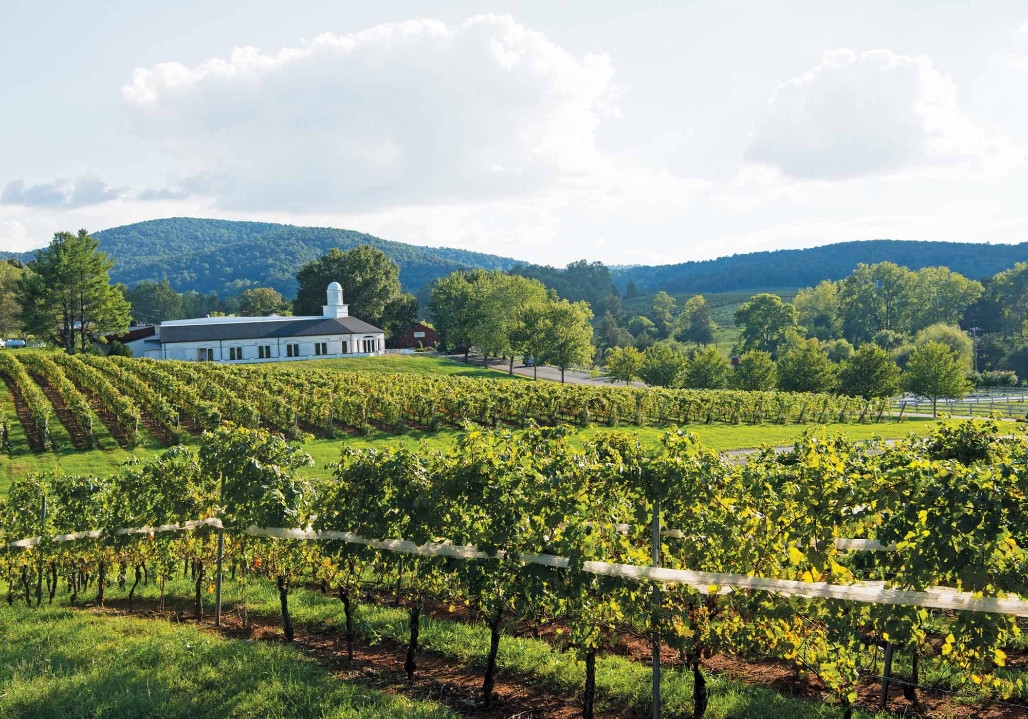 A view of the tasting room and mountains at Barboursville Vineyards with the Blue Ridge Mountains.