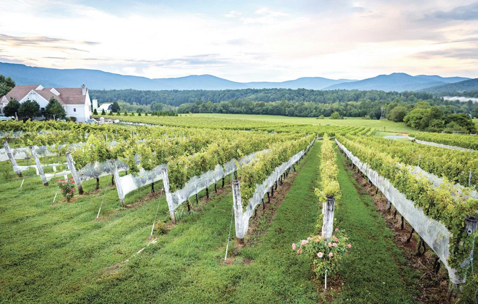 Wineries with Lodging in Central Virginia Wine and Country Life