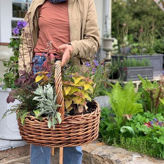 Woman holding basket of flowers at a market