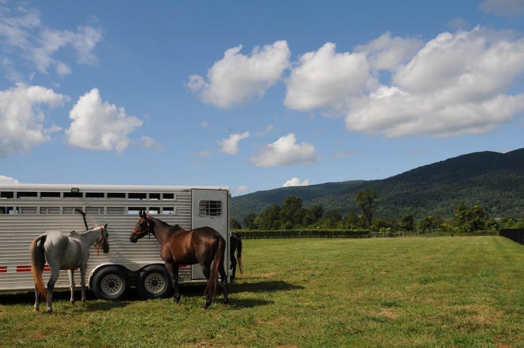 Roseland Polo Wine and Country Life