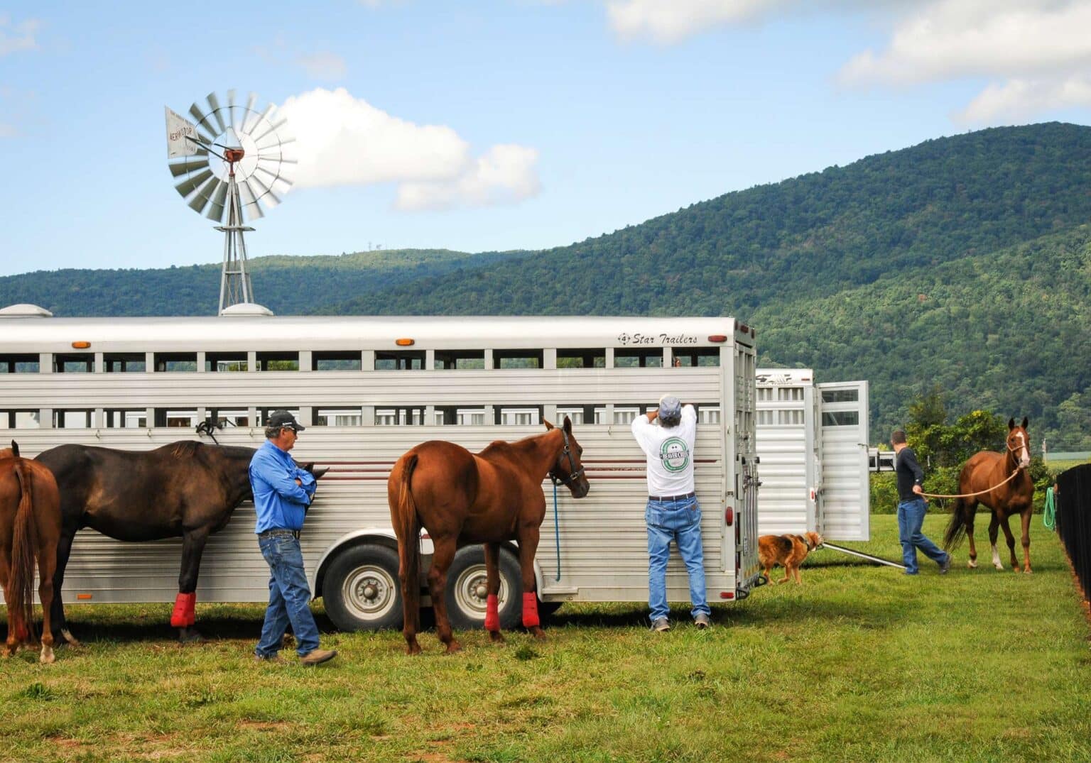 Sunday Polo at King Family Vineyards Wine and Country Life