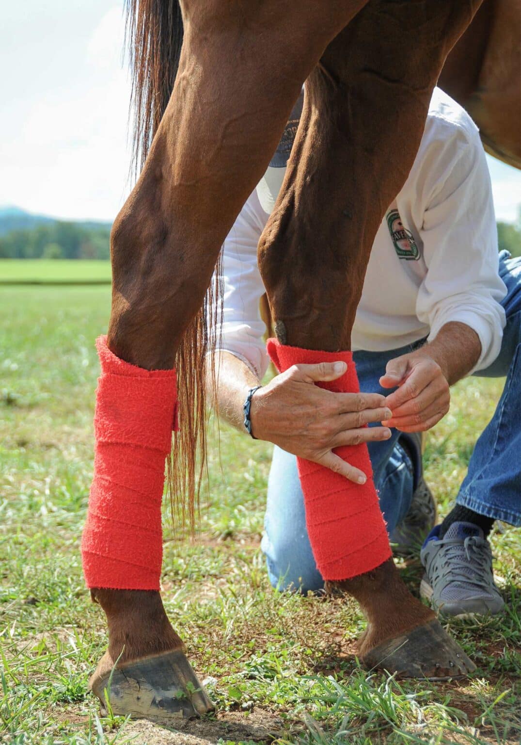 Sunday Polo at King Family Vineyards Wine and Country Life