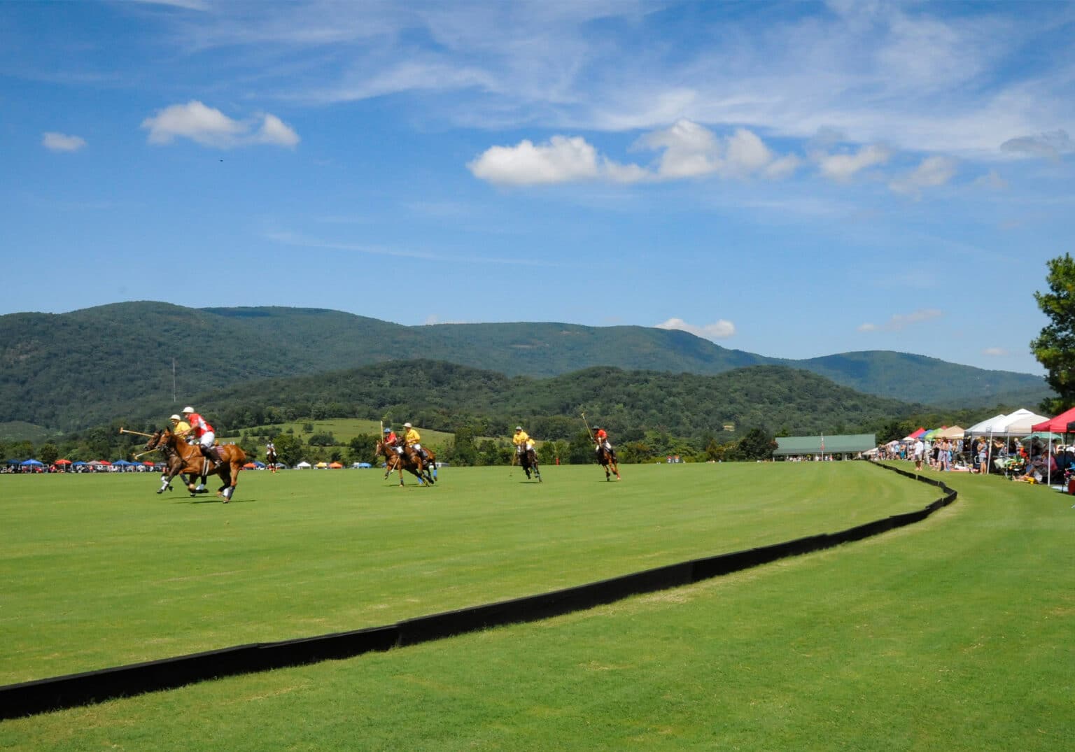 Sunday Polo at King Family Vineyards Wine and Country Life
