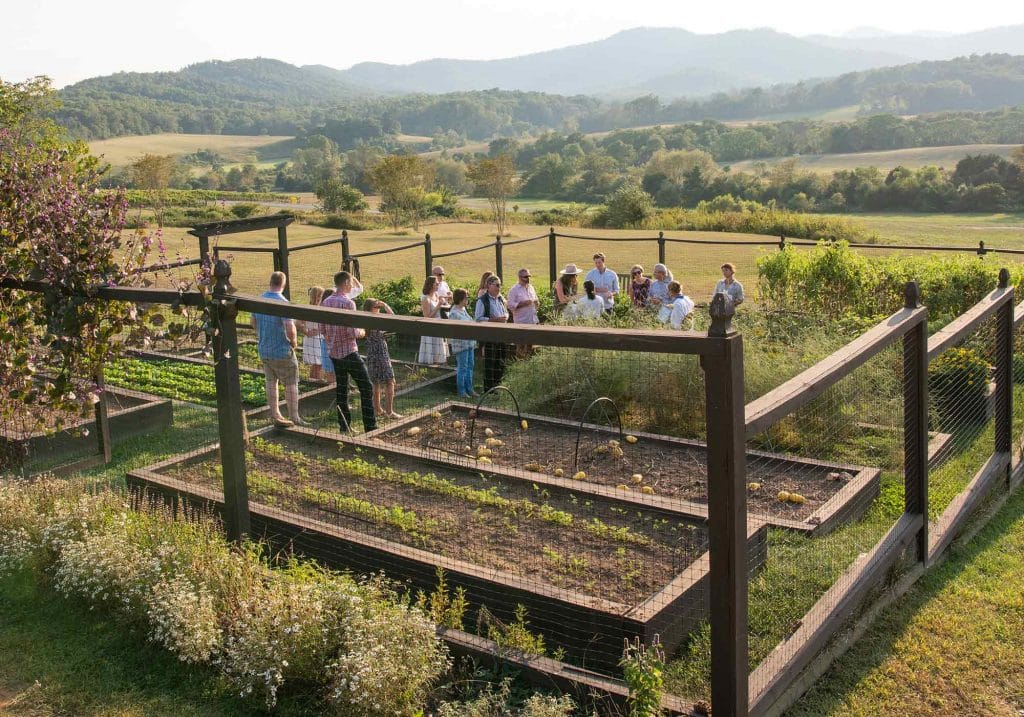 The Petite Vineyard Table