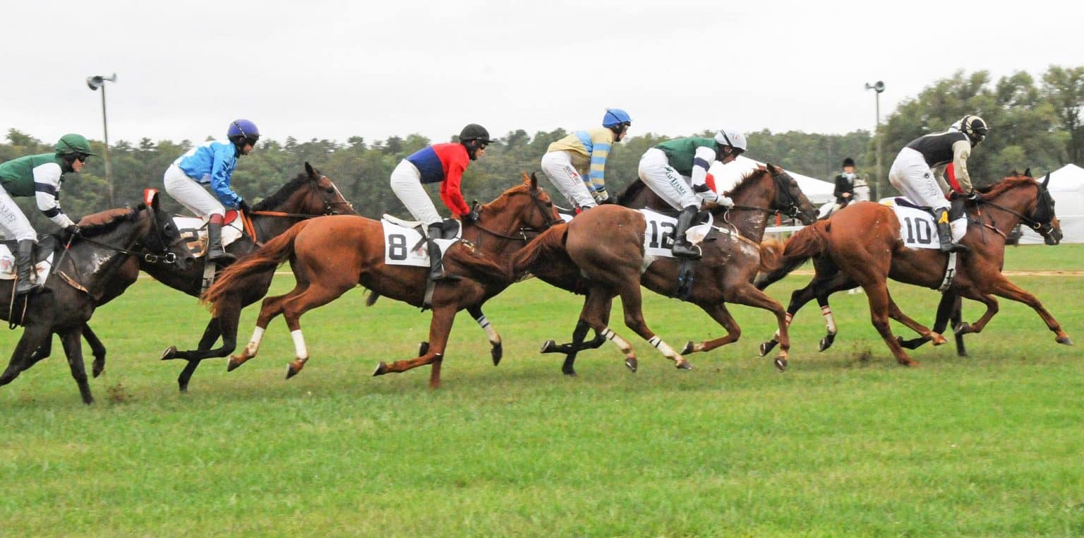 A Guide to the Foxfield Races in Charlottesville Wine and Country Life