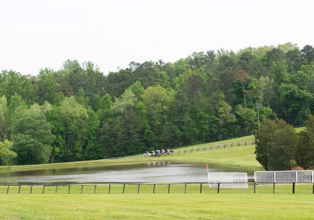 Horse racing at Foxfield races in Charlottesville