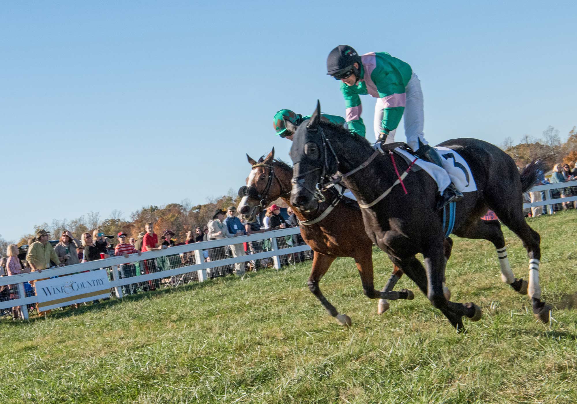 Montpelier Hunt Races, Image by © RL Johnson for Wine & Country Life