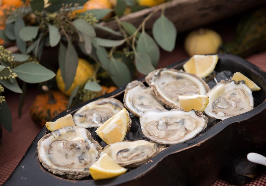 Montpelier Hunt Races Oysters, Image: © Wine & Country Life