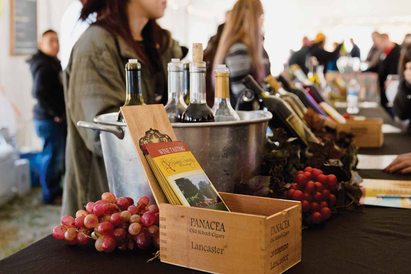 Thomas Jefferson Wine Festival