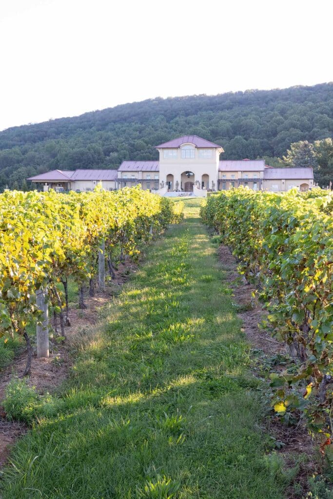 Breaux Vineyards, Image by © RL Johnson for Wine & Country Life
