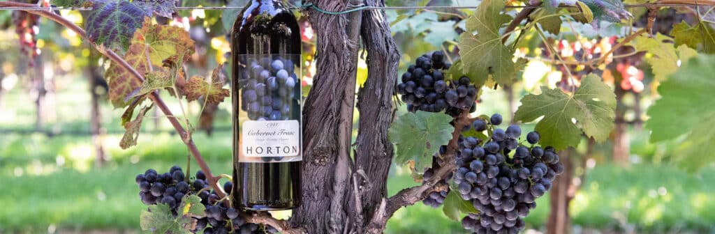 Horton Vineyards, Image by © RL Johnson for Wine & Country Life