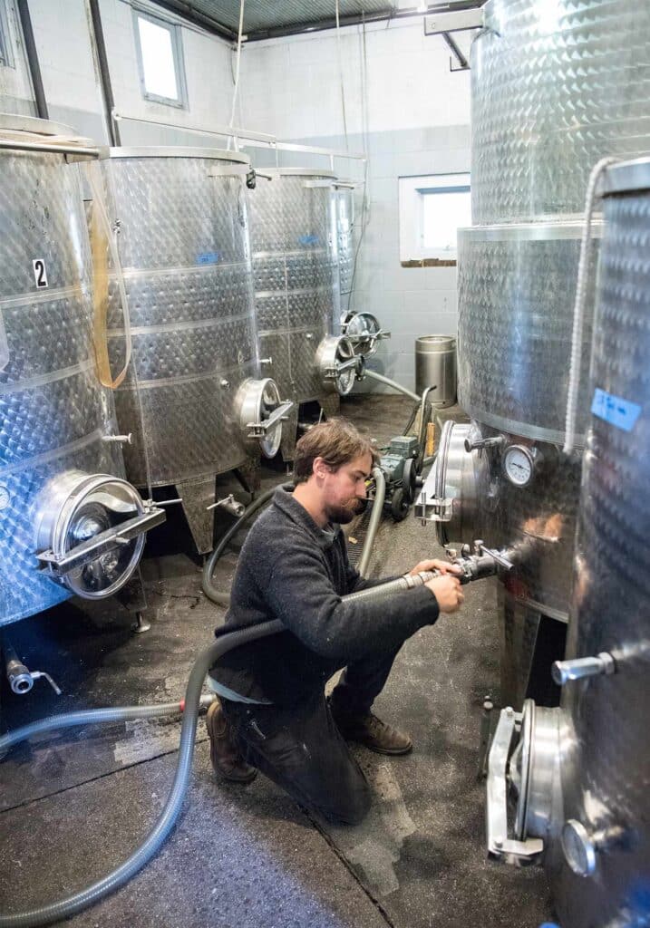 Processing wines at Gabriele Rausse Winery, Image by © RL Johnson for Wine & Country Life