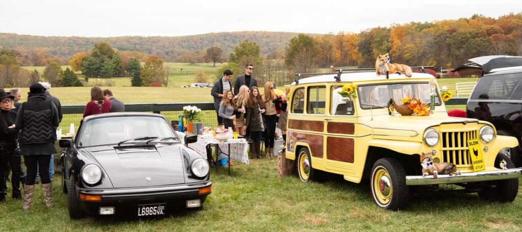Virginia Gold Cup, Image: © Wine & Country Life