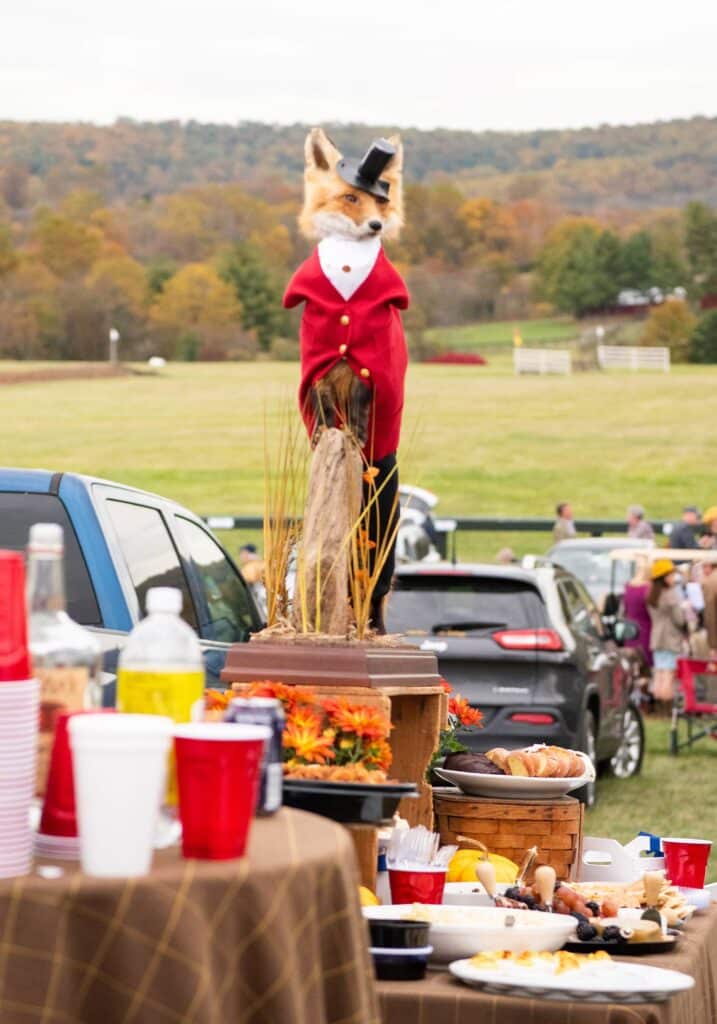 Virginia Gold Cup, Image: © Wine & Country Life