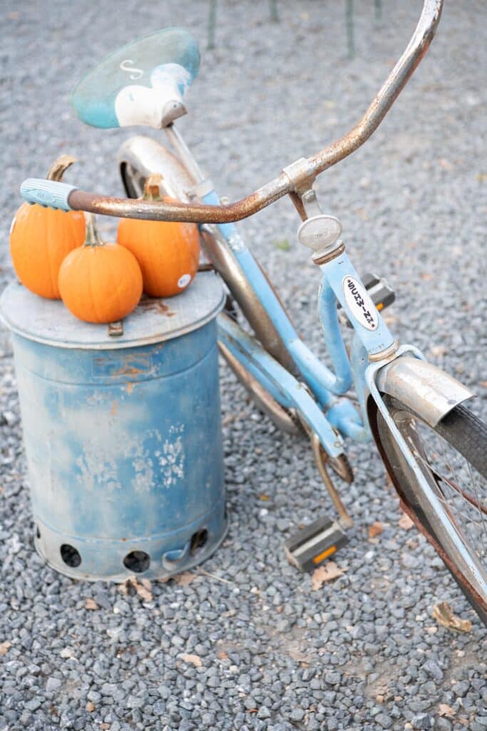 vintage blue bike lucketts old country store antiques leesburg virginia