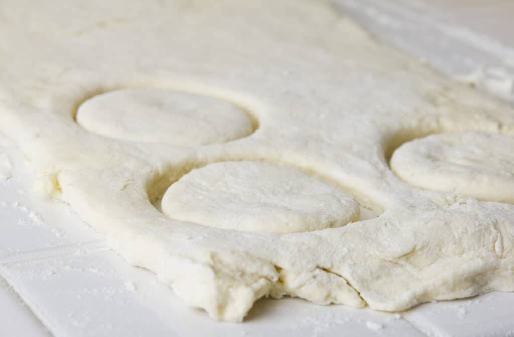 Rolled out dough with rings for biscuits cut. Shallow DOF