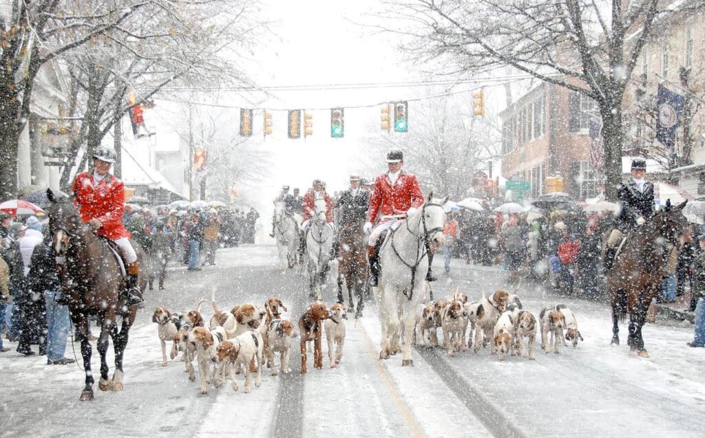 Middleburg Christmas Parade with horses, snow and beagles from the Middleburg foxhunt.