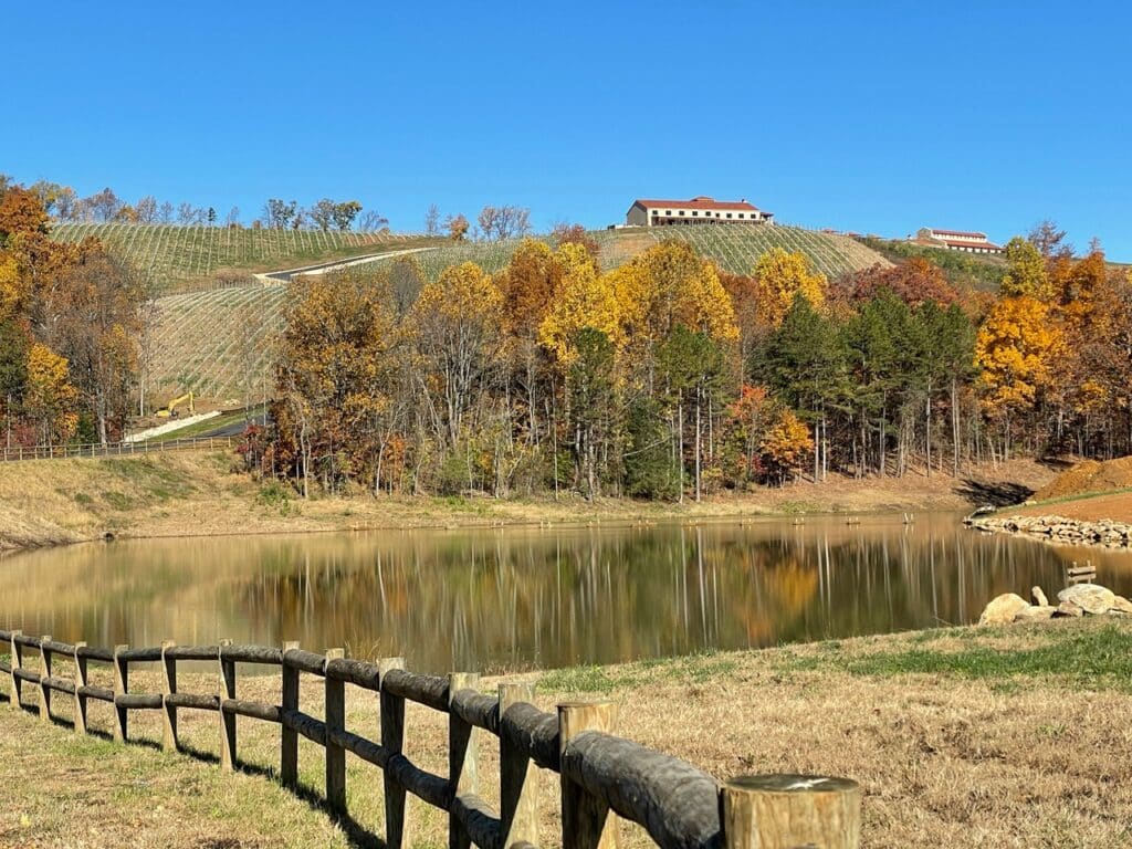 Hazy Mountain Vineyards & Brewery