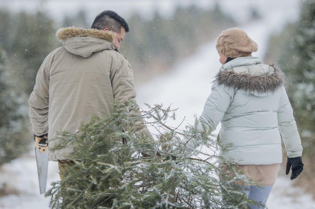 Christmas Tree Farms in Virginia