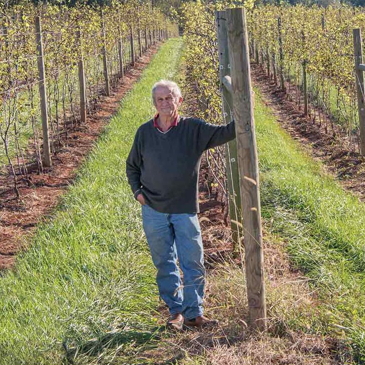 Gabriele Rausse in the vineyard of Gabrielle Rausse Winery near Charlottesville in Virginia Wine Country.