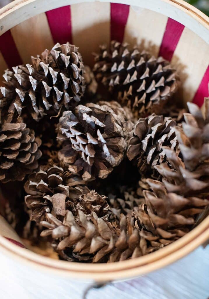 Holiday Wreath Making at Pippin Hill, Wreath making supplies, pinecones