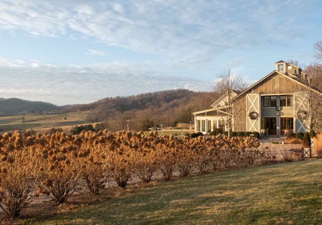 Winter at Pippin Hill Farm &Vineyards, Image by © RL Johnson for Wine & Country Life