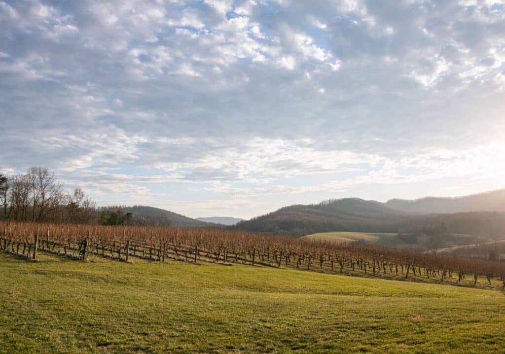 Winter at Pippin Hill Farm &Vineyards, Image by © RL Johnson for Wine & Country Life