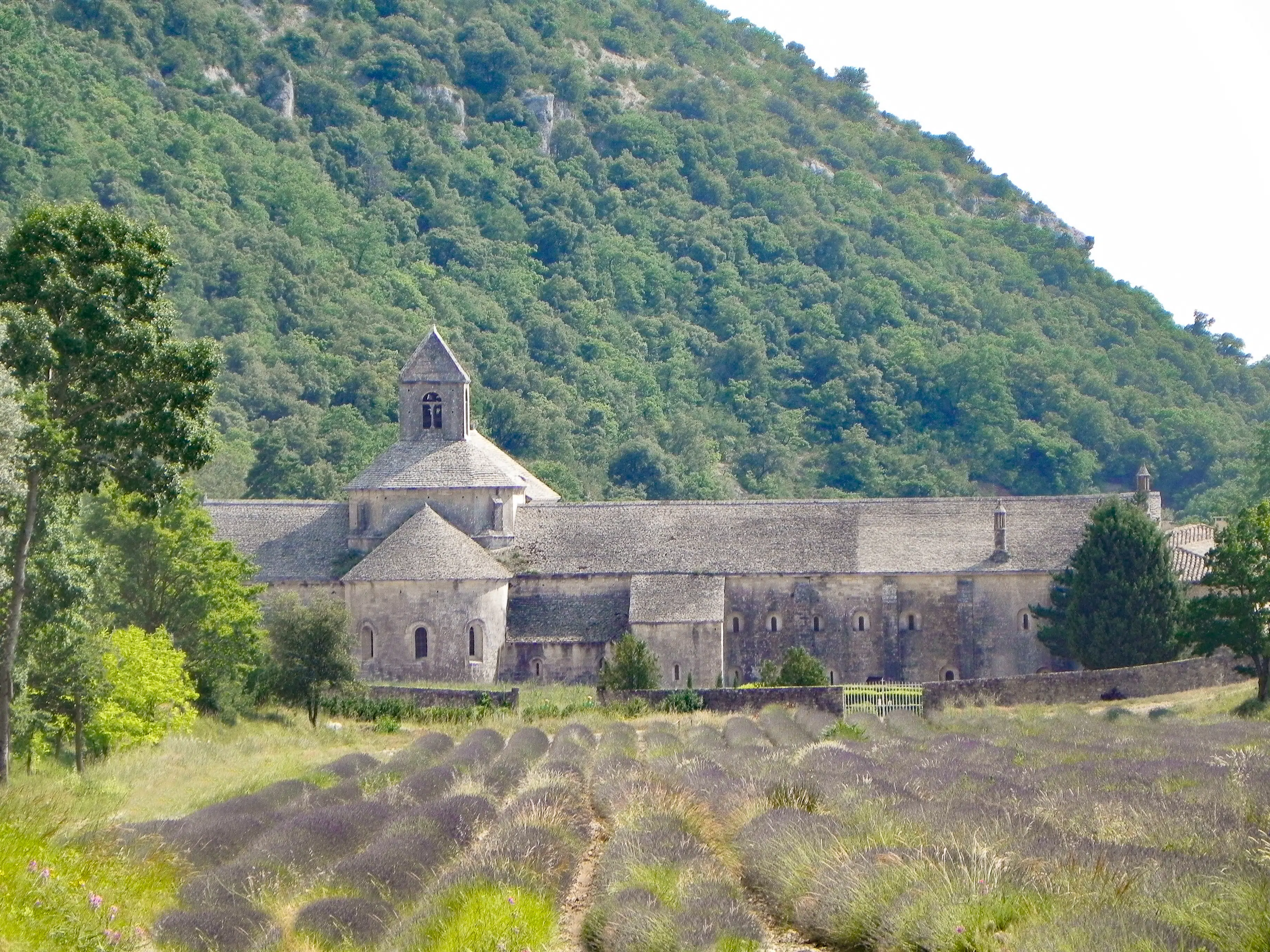 The Lavender Abbey at Provence