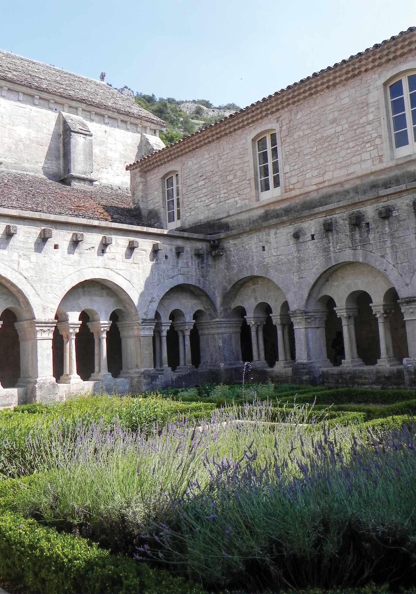 The Beauty of Lavender from Provence - Wine and Country Life